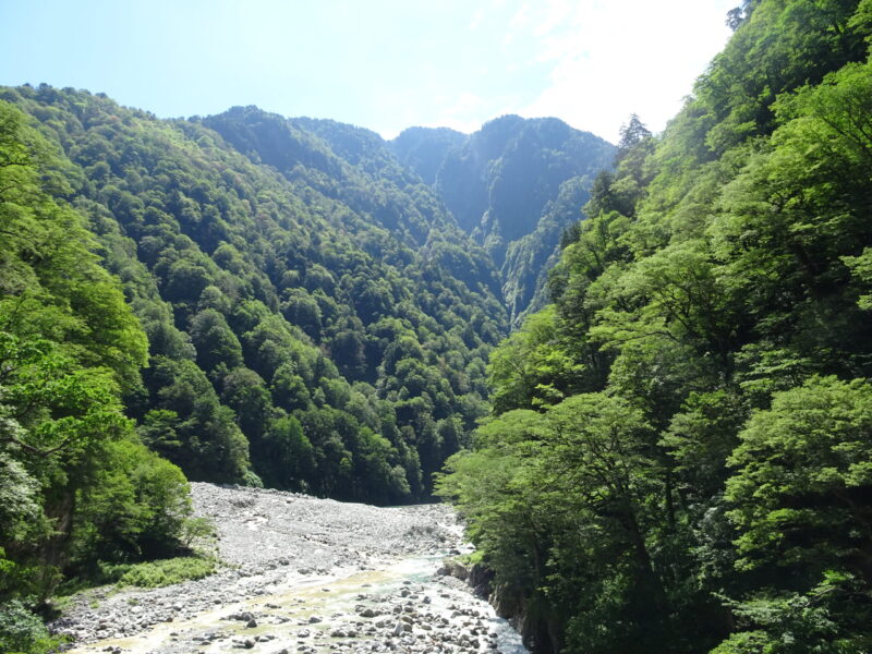 【新番組】Amadeus UNAZUKI-アマデウス・ウナヅキ-